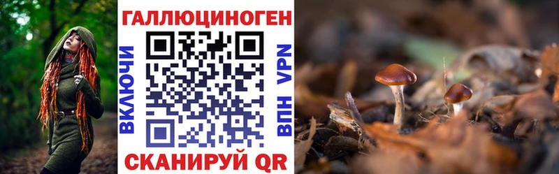 KRAKEN ссылки  Сысерть  Псилоцибиновые грибы Psilocybe 